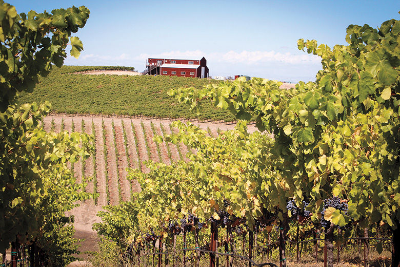 Ultimate Guide To Paso Robles